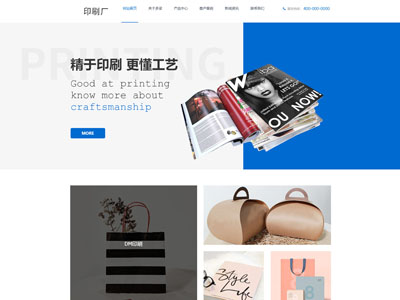 印刷網站制作電腦網站手機網站-案例