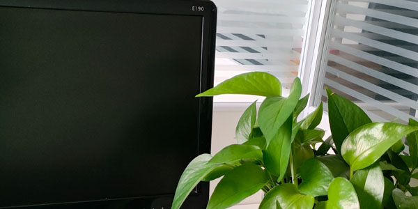 軟件公司.jpg 軟件公司.jpg